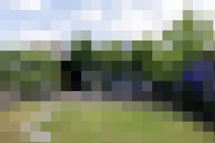 Nijvelstraat 5 Prinsenbeek thumbnail 5