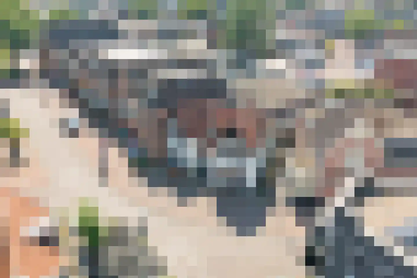 Nijverdalsestraat 1 Wierden thumbnail 20