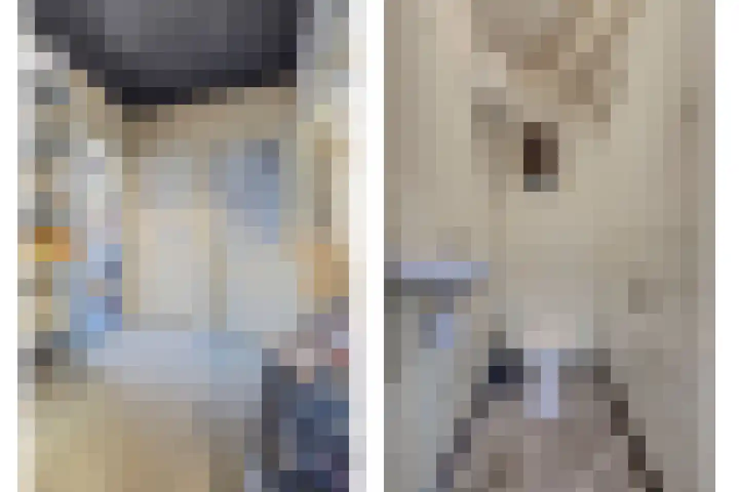 Nijverdalsestraat 1 Wierden thumbnail 28