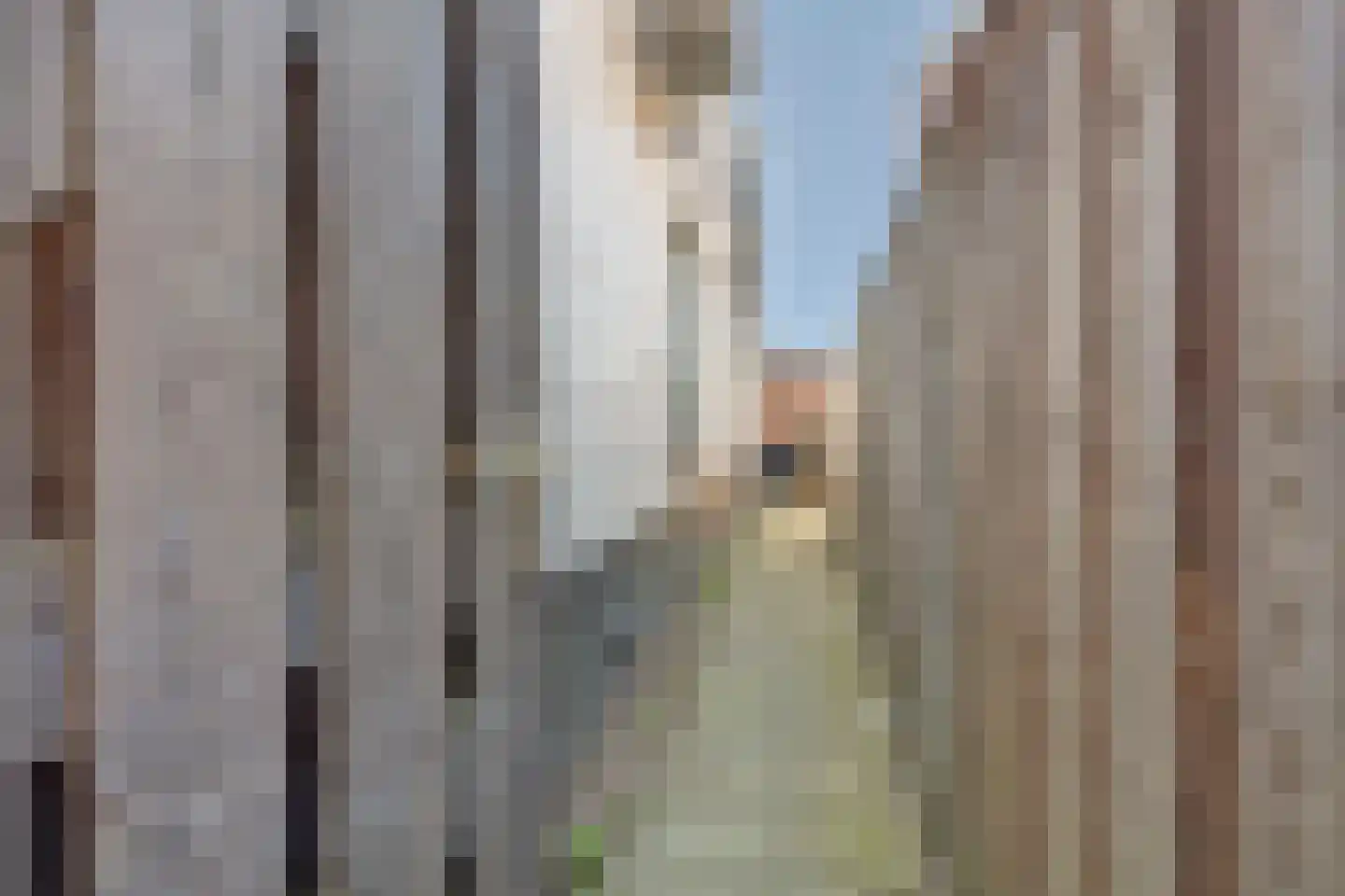 Nijverdalsestraat 1 Wierden thumbnail 29