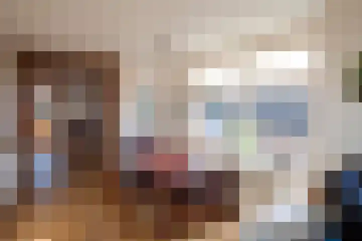 Nijverdalsestraat 27 Wierden thumbnail 12