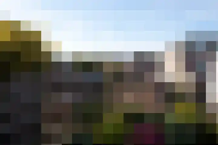 Nijverdalsestraat 27 Wierden thumbnail 15