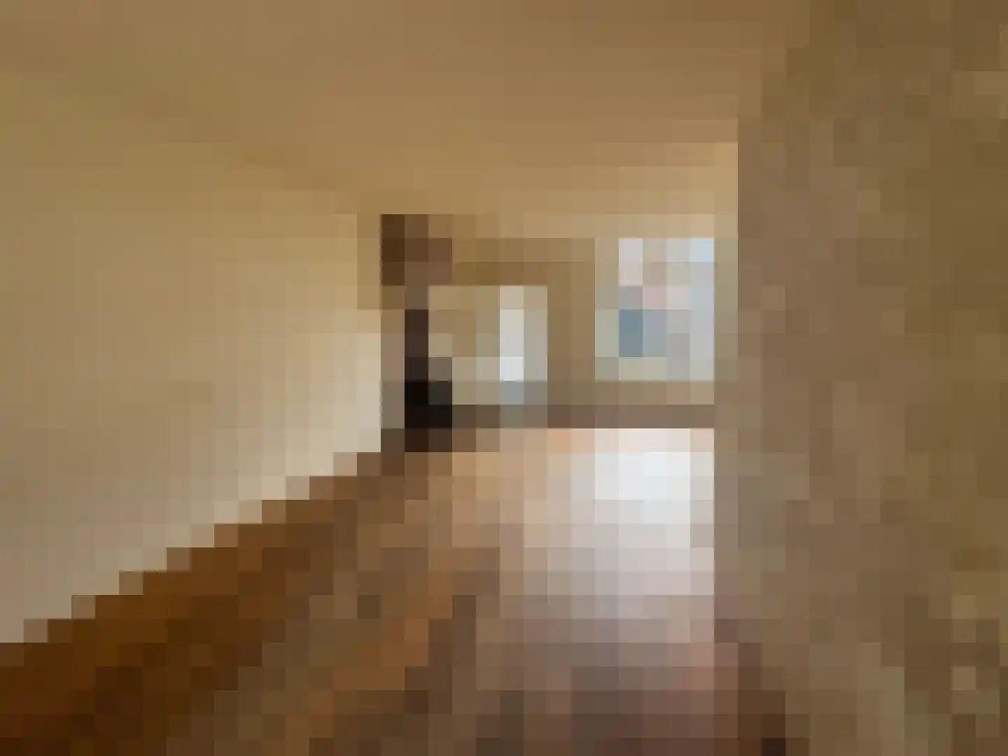 Nijverdalsestraat 45 Wierden thumbnail 11