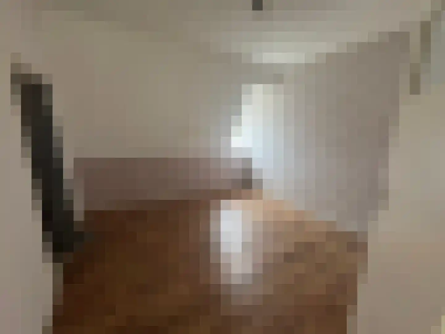 Nijverdalsestraat 45 Wierden thumbnail 17