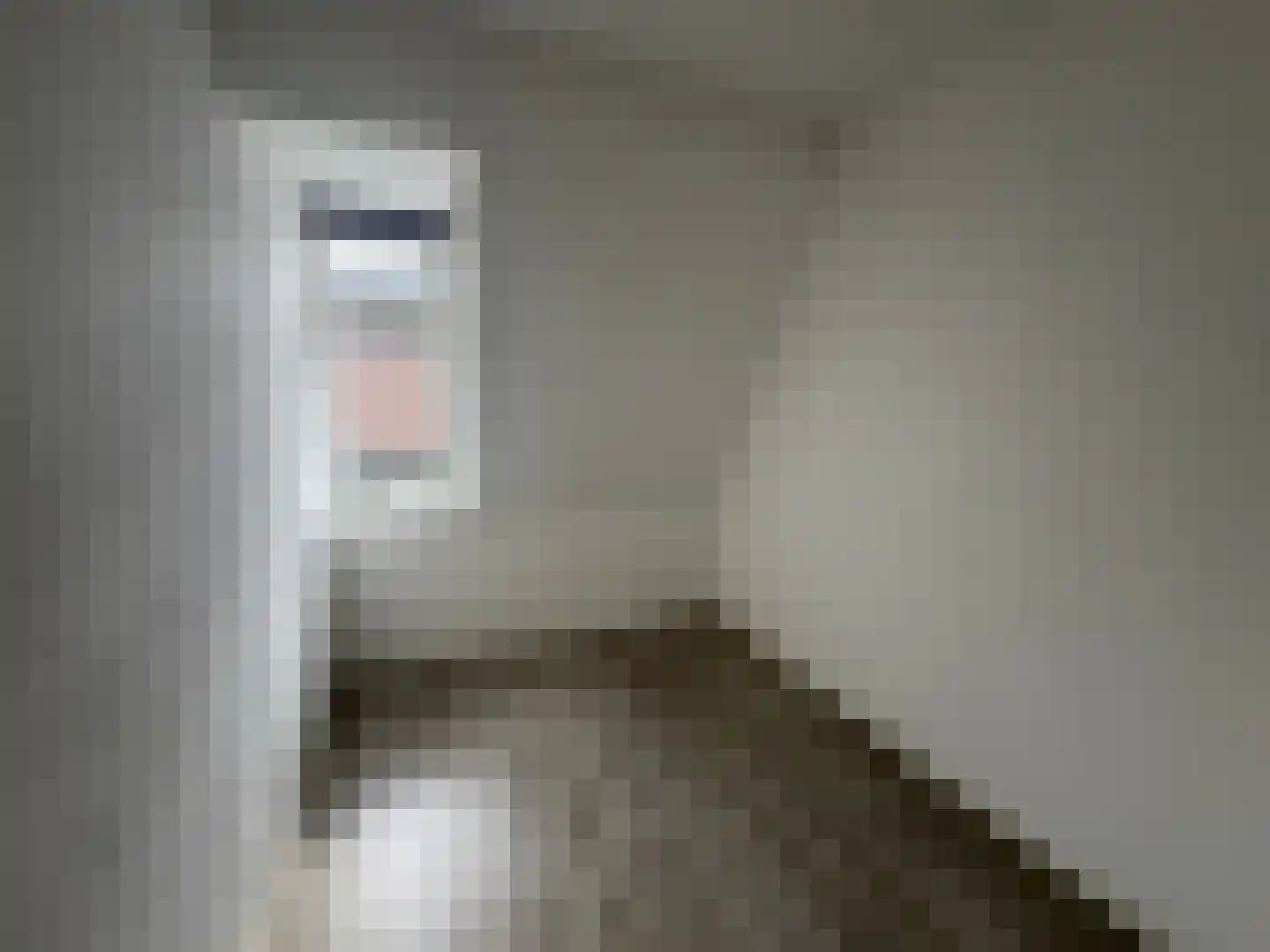 Nijverdalsestraat 45 Wierden thumbnail 18