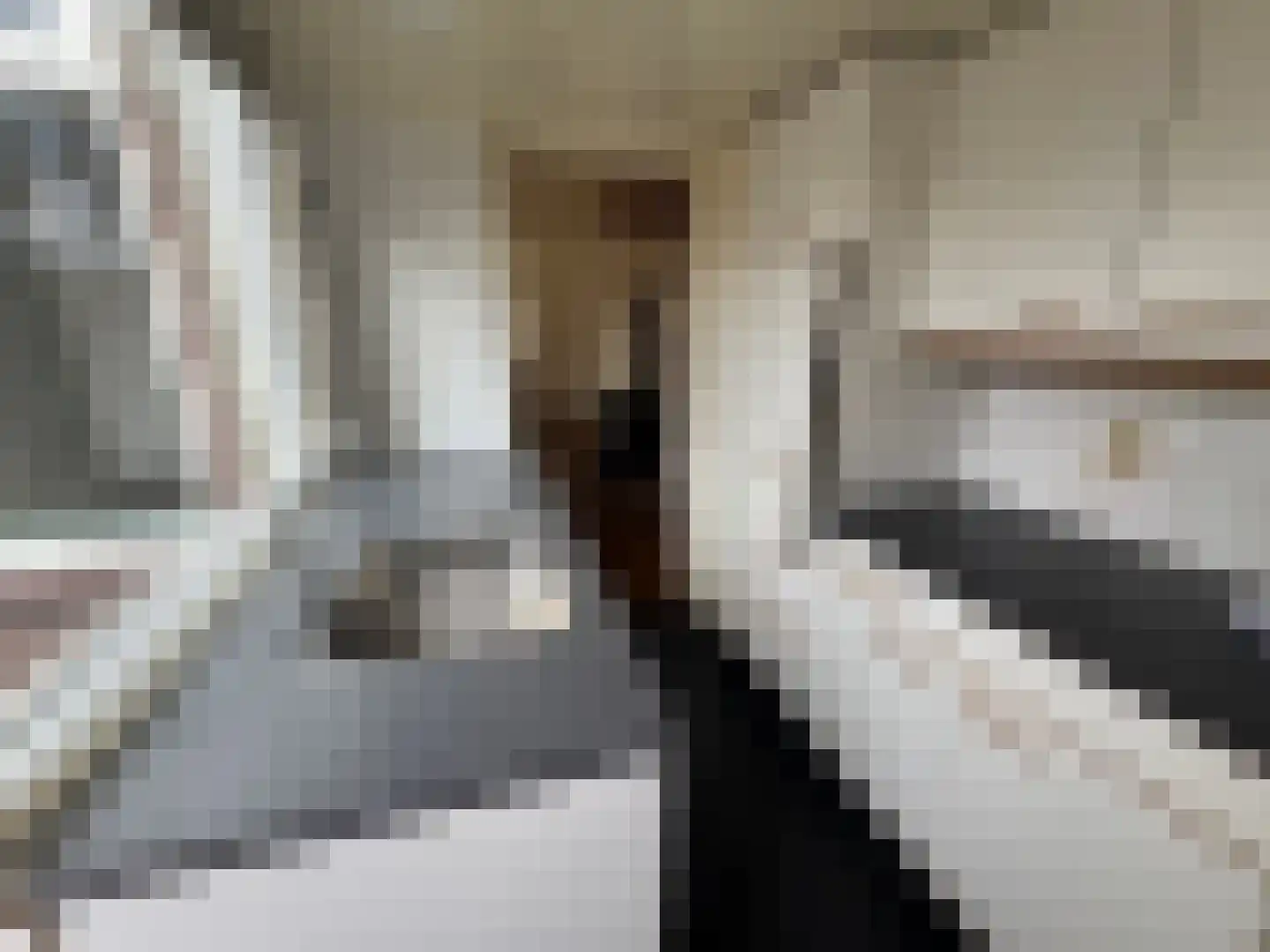 Nijverdalsestraat 45 Wierden thumbnail 8