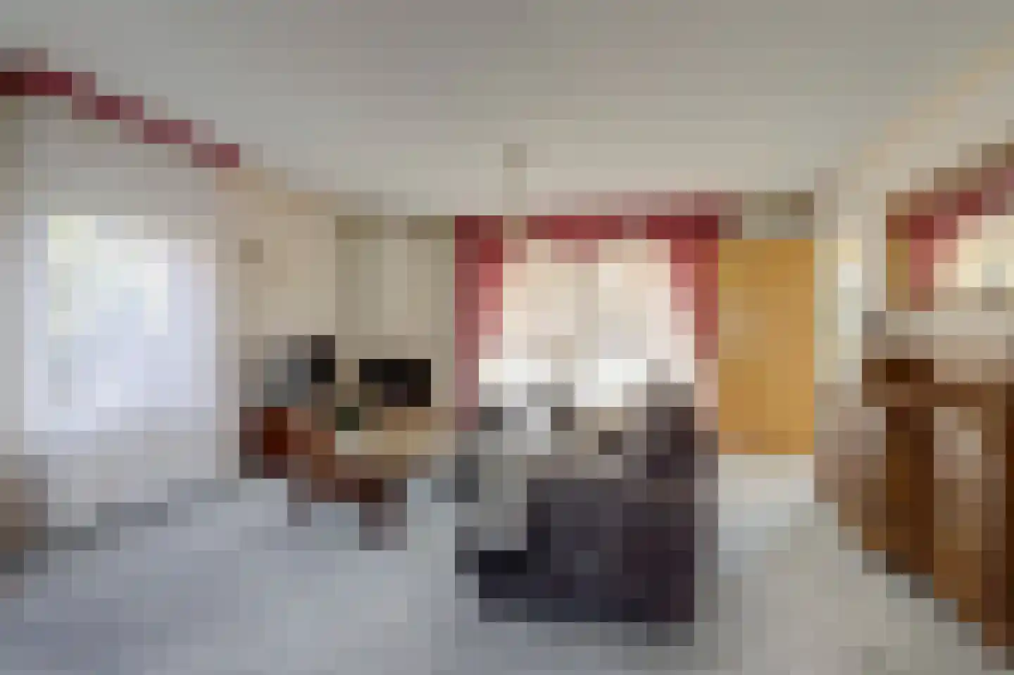 Nijverdalsestraat 51 Wierden thumbnail 11