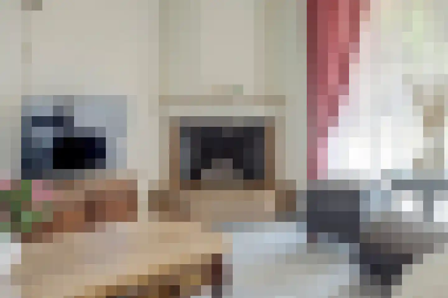 Nijverdalsestraat 51 Wierden thumbnail 13