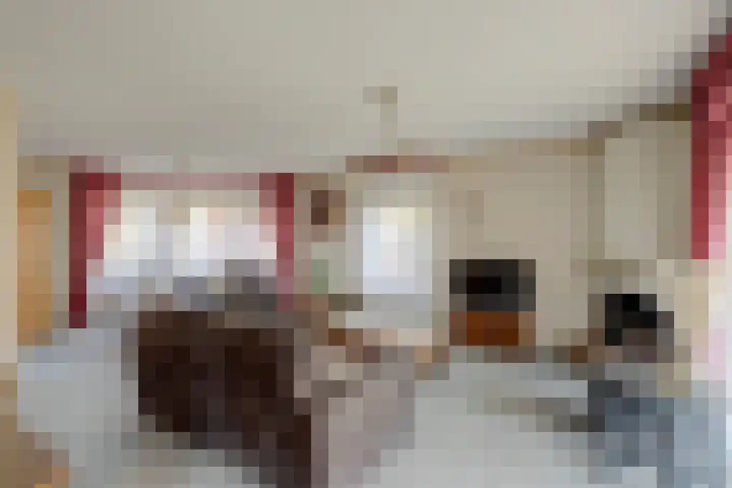 Nijverdalsestraat 51 Wierden thumbnail 14