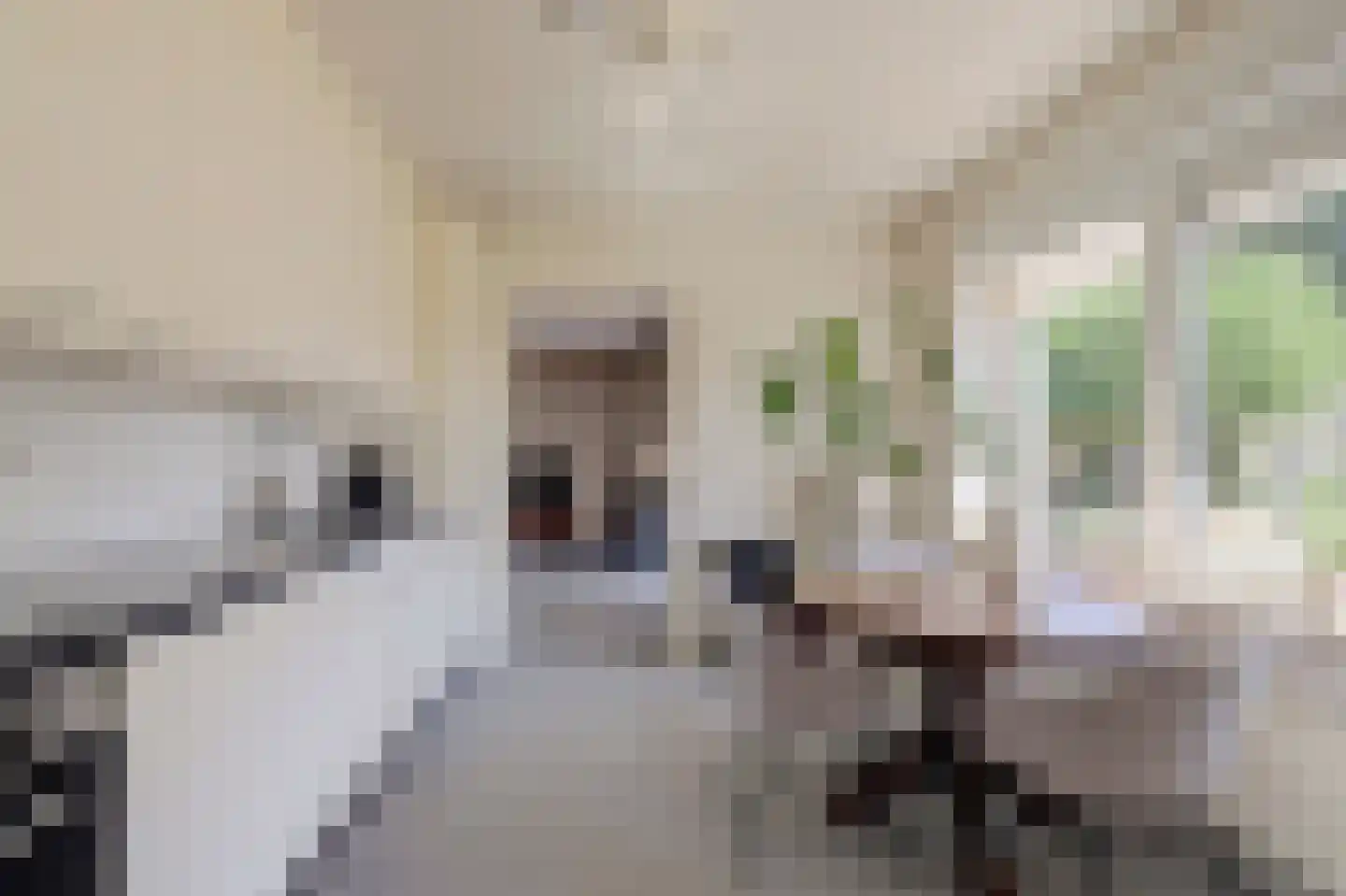 Nijverdalsestraat 51 Wierden thumbnail 17