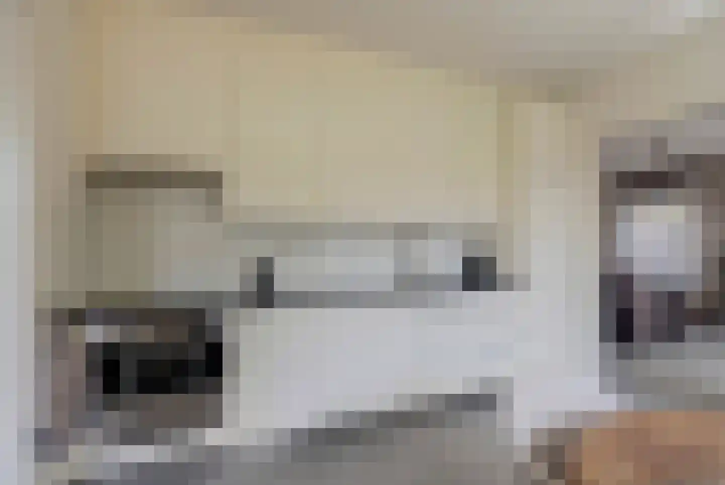 Nijverdalsestraat 51 Wierden thumbnail 19