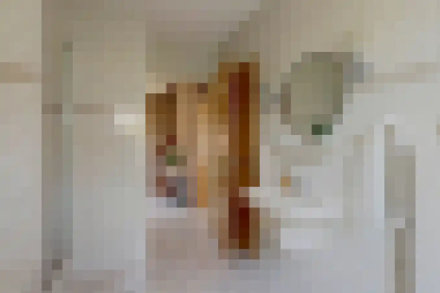 Nijverdalsestraat 51 Wierden thumbnail 24