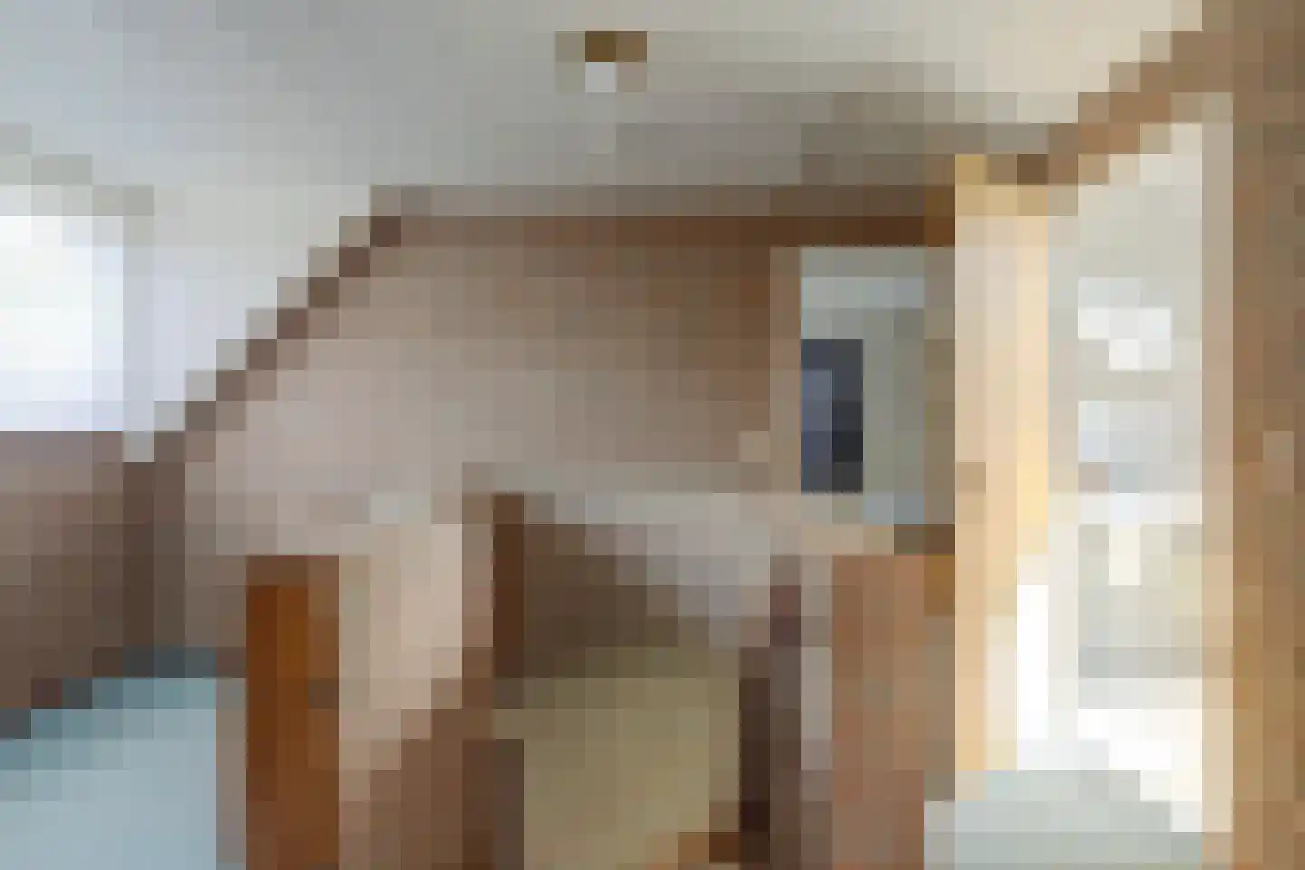 Nijverdalsestraat 51 Wierden thumbnail 26