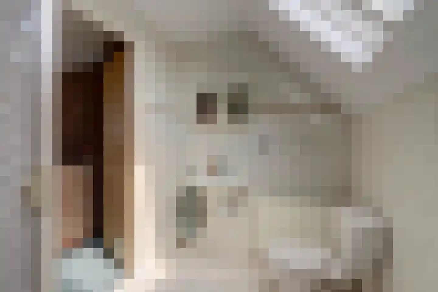Nijverdalsestraat 51 Wierden thumbnail 35