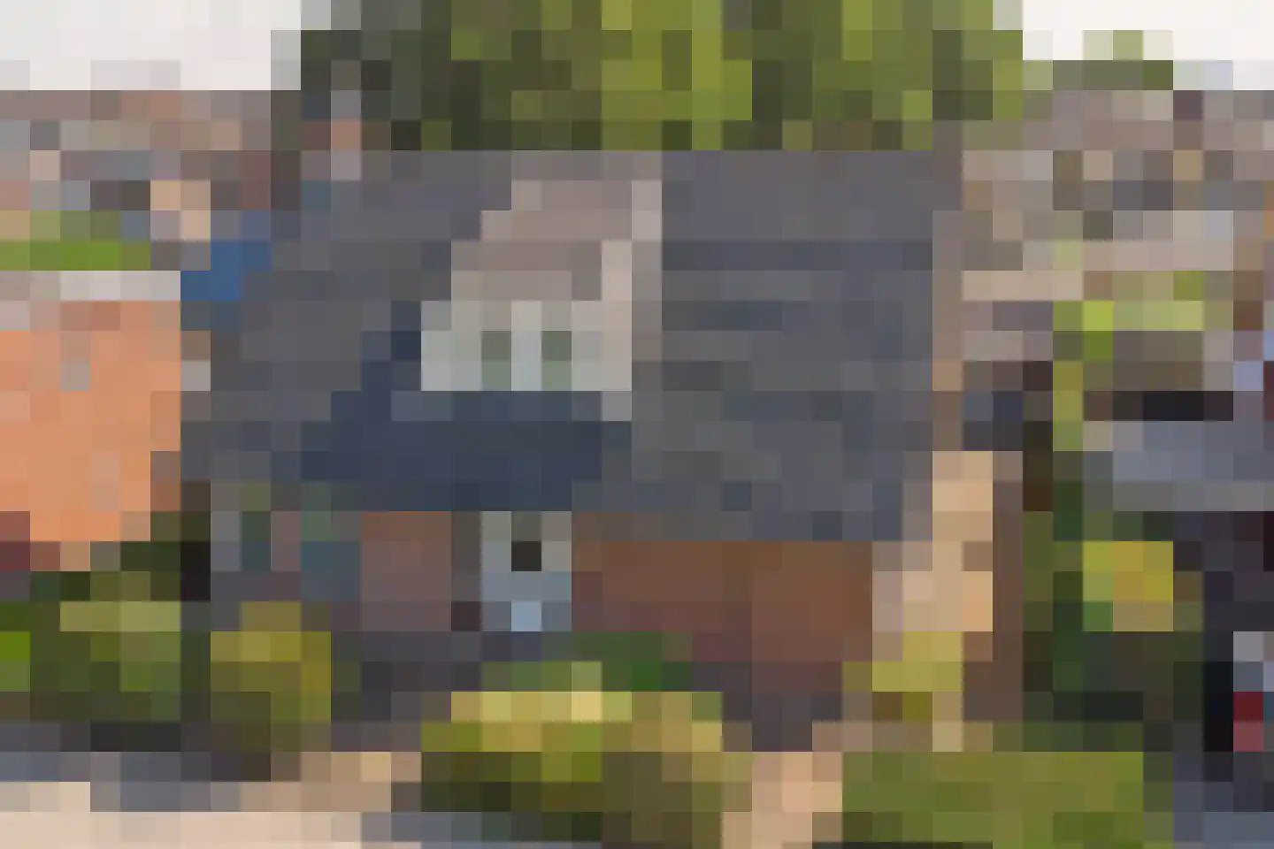 Nijverdalsestraat 51 Wierden thumbnail 49