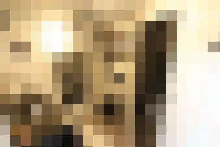 Nijverdalsestraat 62 Wierden thumbnail 12