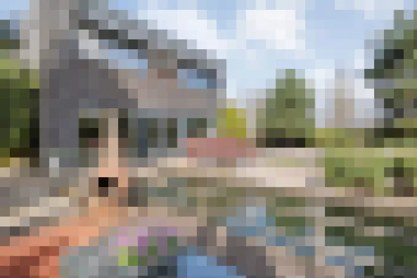 Nijverdalsestraat 62 Wierden thumbnail 23