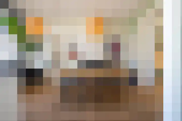 Nijverdalsestraat 62 Wierden thumbnail 32