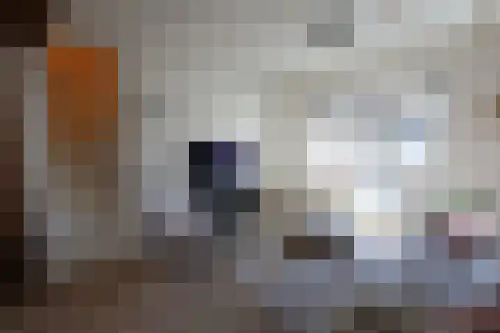 Nijverdalsestraat 62 Wierden thumbnail 5