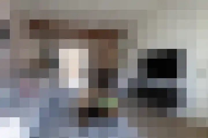 Nijverdalsestraat 62 Wierden thumbnail 7