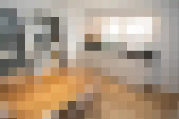 Nijverdalsestraat 63 Wierden thumbnail 18