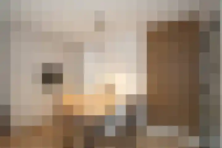 Nijverdalsestraat 63 Wierden thumbnail 20