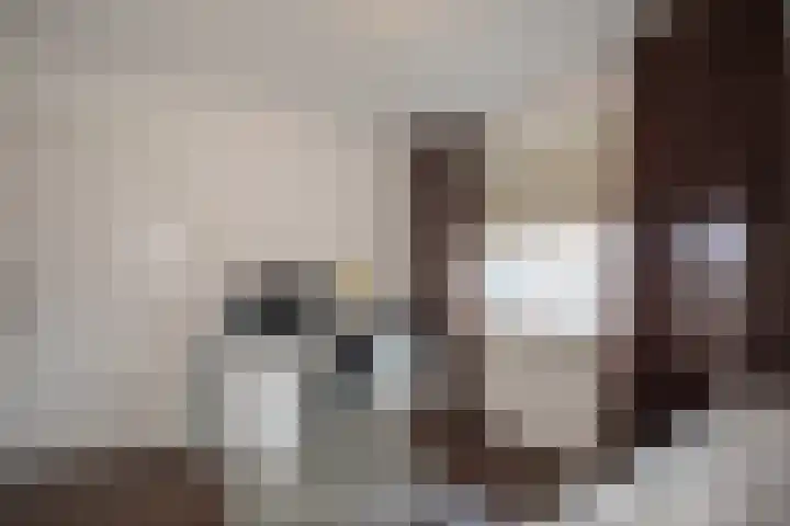 Nijverdalsestraat 63 Wierden thumbnail 38