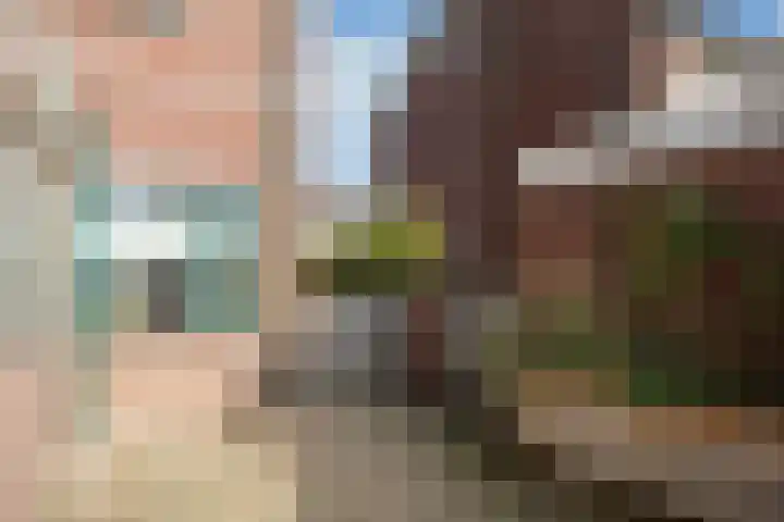 Nijverdalsestraat 63 Wierden thumbnail 44