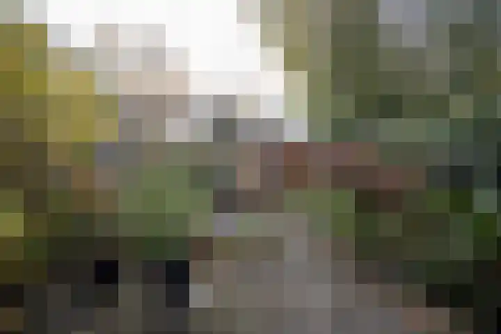 Nijverdalsestraat 63 Wierden thumbnail 48