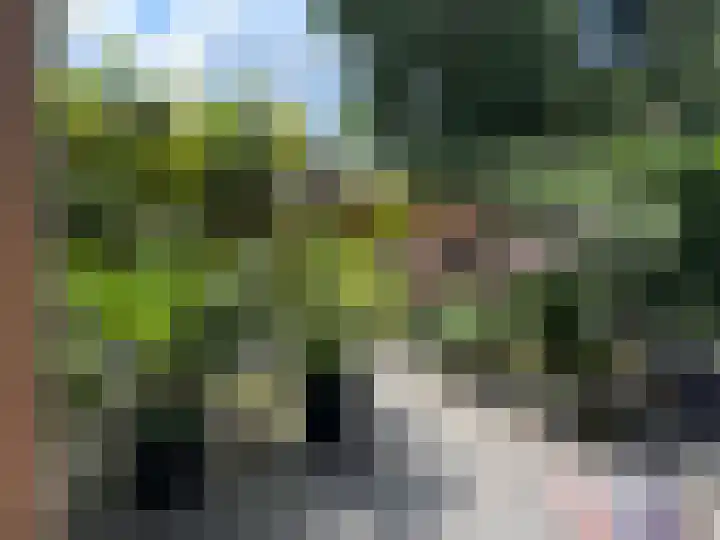 Nijverdalsestraat 63 Wierden thumbnail 49
