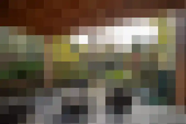 Nijverdalsestraat 63 Wierden thumbnail 51
