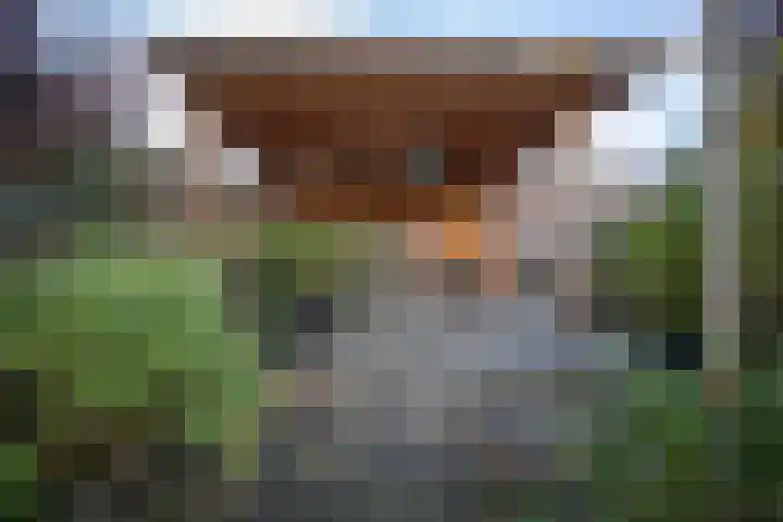 Nijverdalsestraat 63 Wierden thumbnail 52