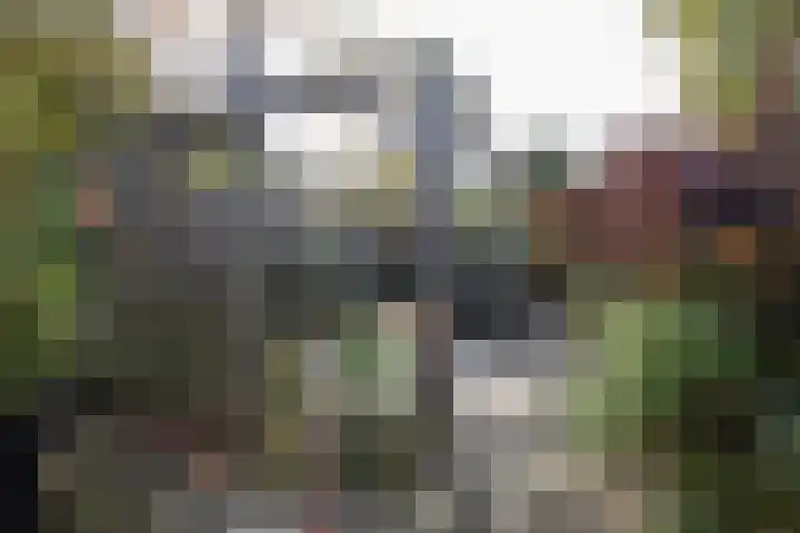 Nijverdalsestraat 63 Wierden thumbnail 53
