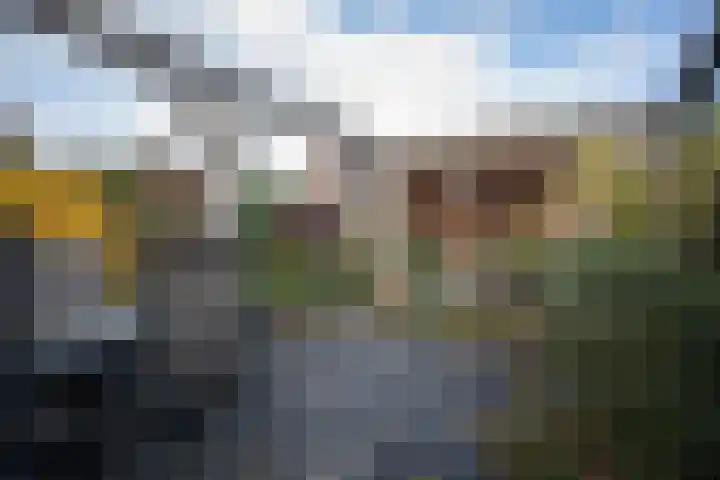 Nijverdalsestraat 63 Wierden thumbnail 55