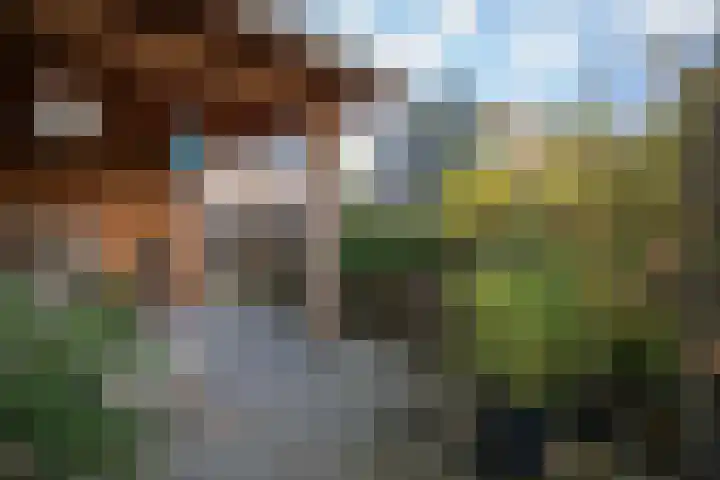 Nijverdalsestraat 63 Wierden thumbnail 56