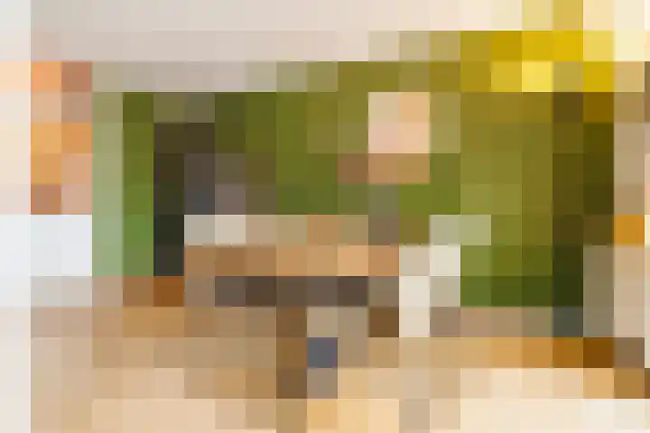 Nijverdalsestraat 77 c Wierden thumbnail 10