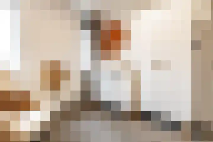 Nijverdalsestraat 77 c Wierden thumbnail 32