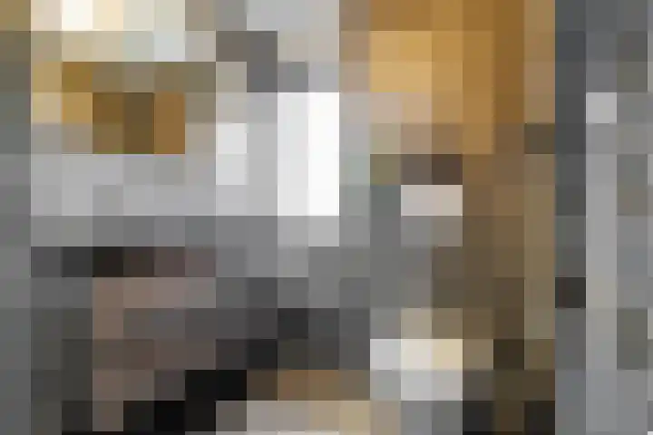 Nijverdalsestraat 77 c Wierden thumbnail 36