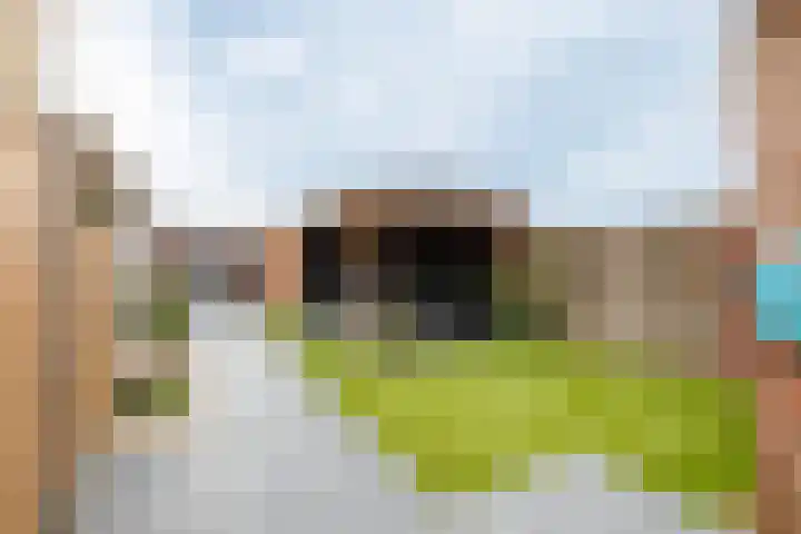 Nijverdalsestraat 77 c Wierden thumbnail 4