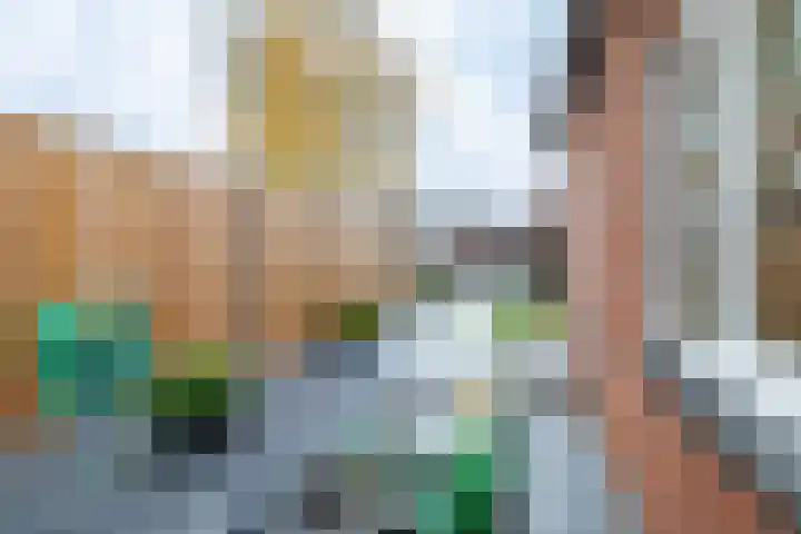 Nijverdalsestraat 77 c Wierden thumbnail 43