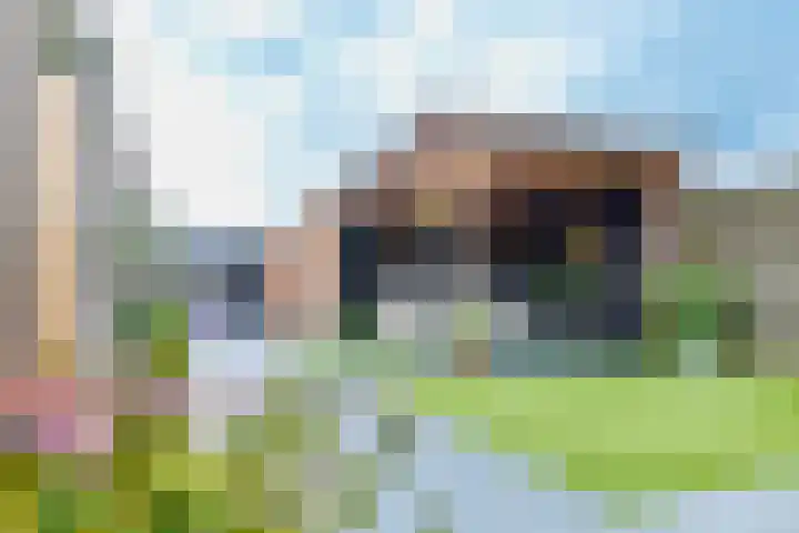Nijverdalsestraat 77 c Wierden thumbnail 47