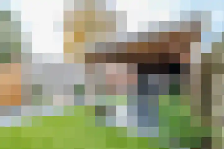 Nijverdalsestraat 77 c Wierden thumbnail 54