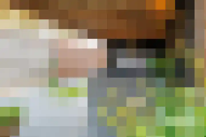 Nijverdalsestraat 77 c Wierden thumbnail 55
