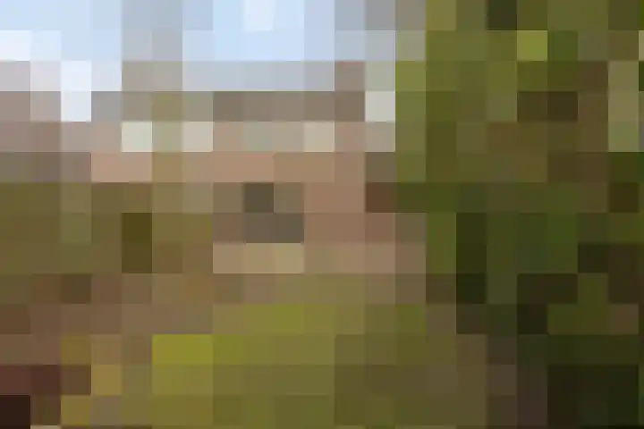 Nijverdalseweg 106 Rijssen thumbnail 21