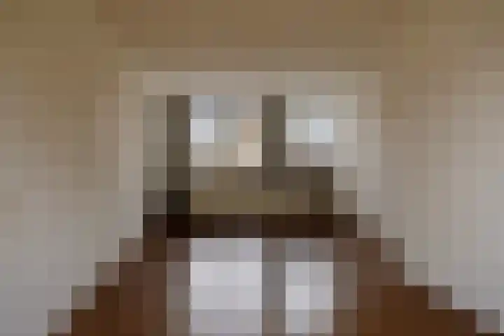 Nijverdalseweg 106 Rijssen thumbnail 5