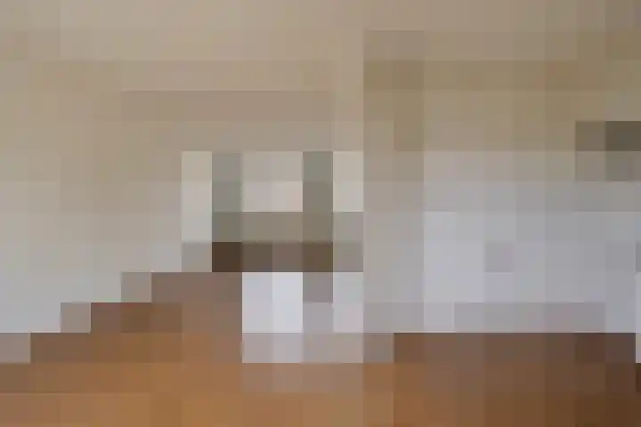 Nijverdalseweg 106 Rijssen thumbnail 8