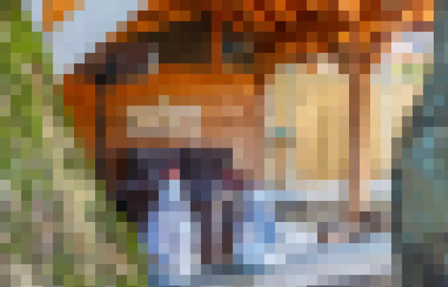 Nijverdalseweg 112 Rijssen thumbnail 34