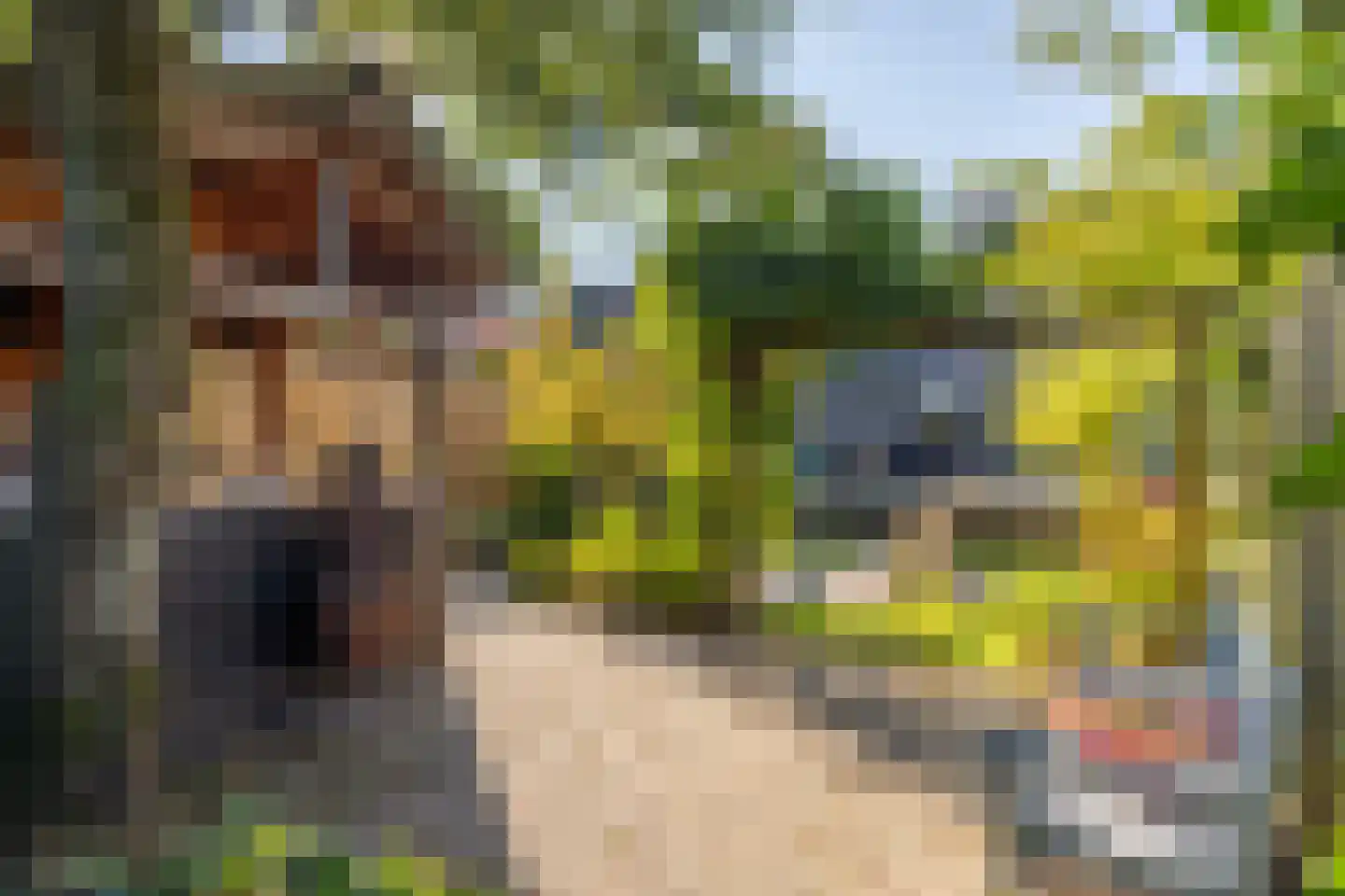 Nijverdalseweg 112 Rijssen thumbnail 35