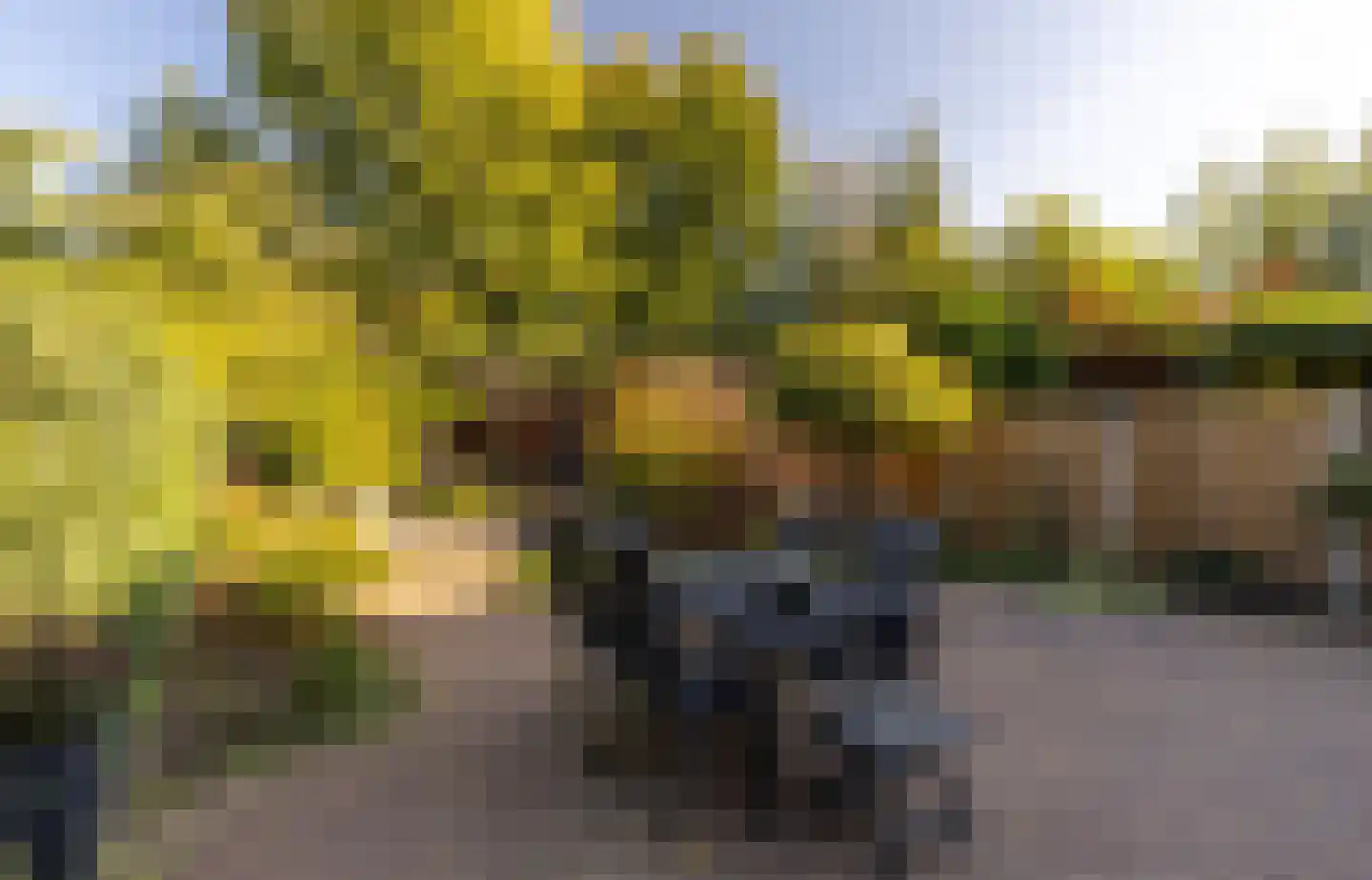 Nijverdalseweg 112 Rijssen thumbnail 36