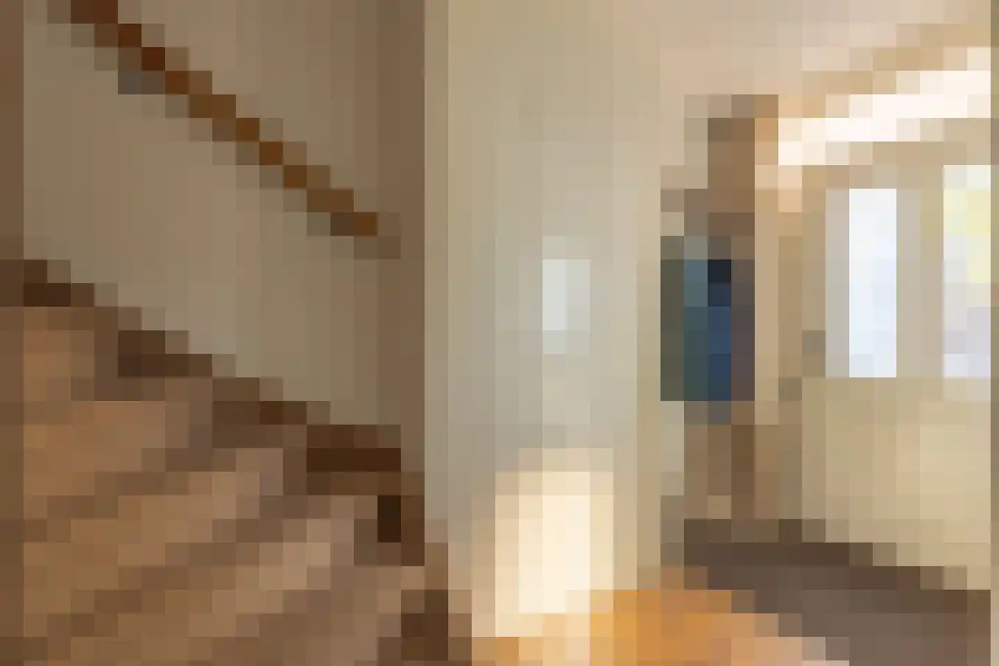 Nijverdalseweg 112 Rijssen thumbnail 4